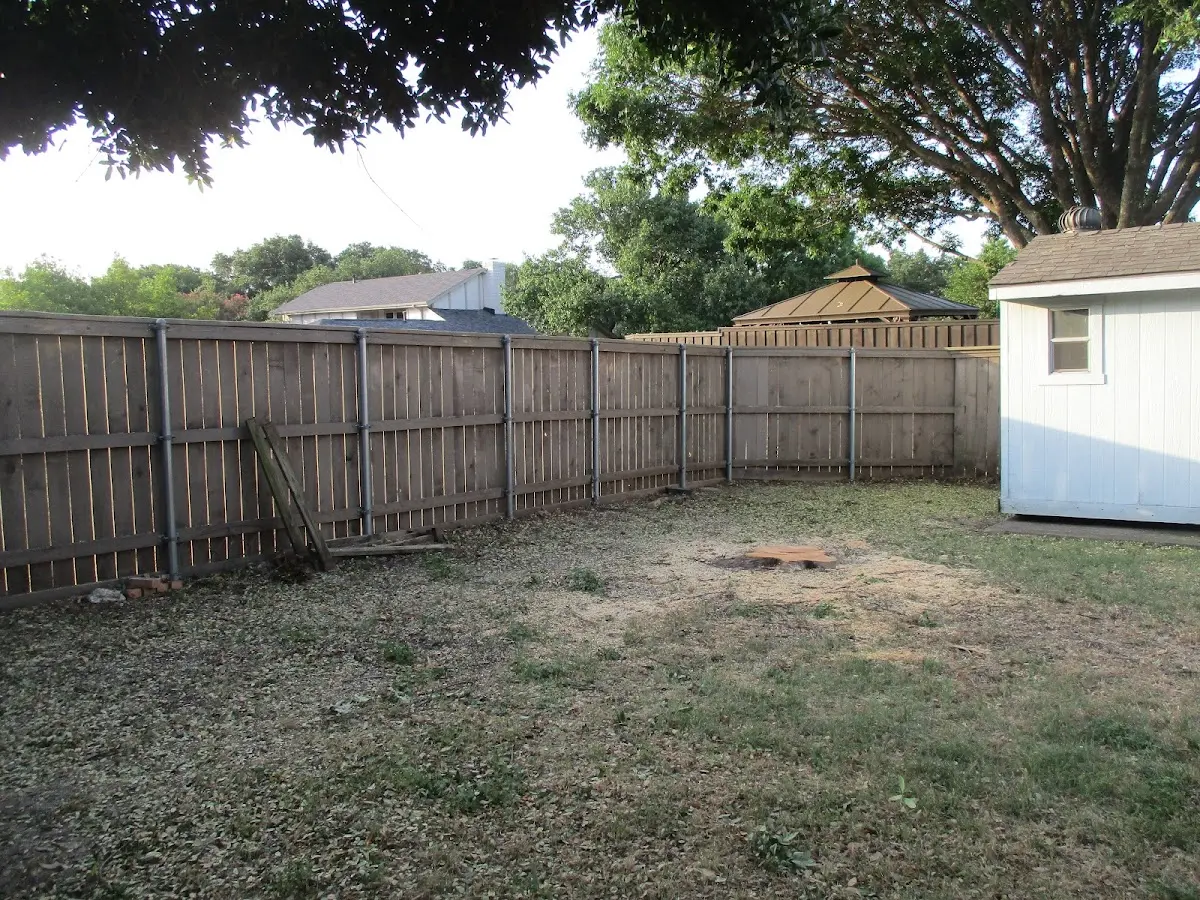 Cleared yard after professional tree removal in Netcong
