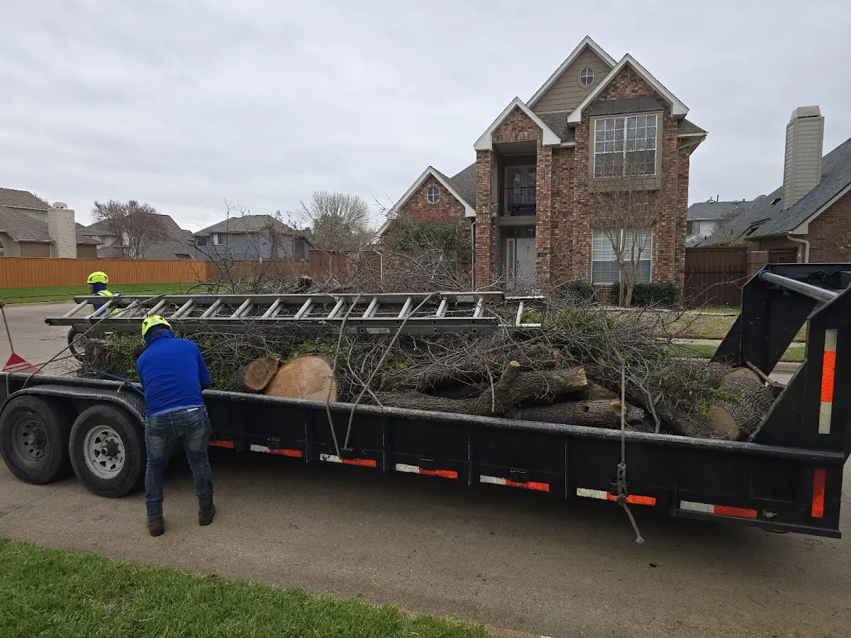Expert Tree Removal with proper safety equipment in Netcong